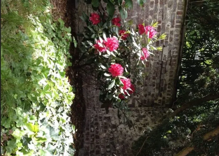 Am Hofgarten